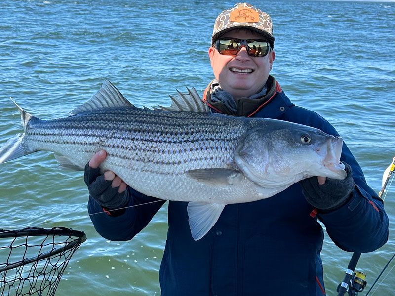 striped bass fishing chesapeake bay