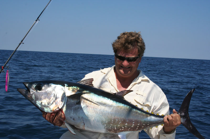 bluefin tuna caught jigging