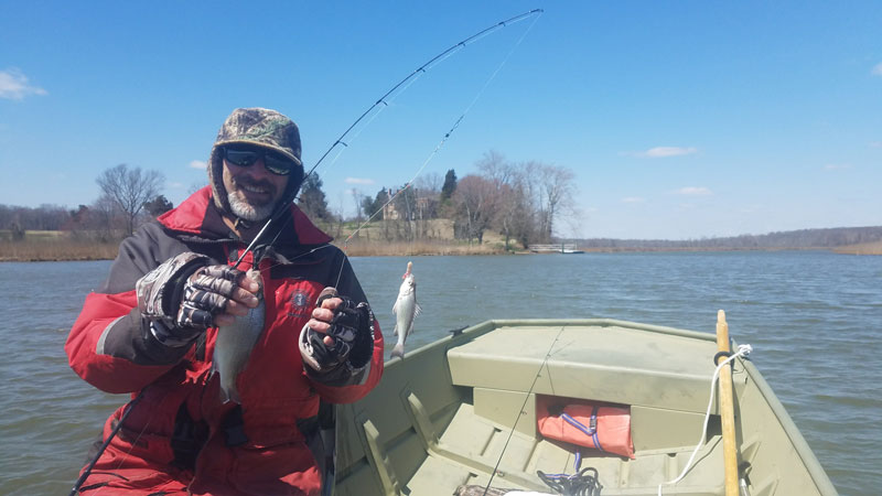 white perch fishing in the patuxent